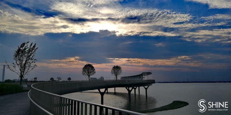 Pedestrian bridge a source of life for nature and people