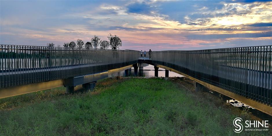 Pedestrian bridge a source of life for nature and people