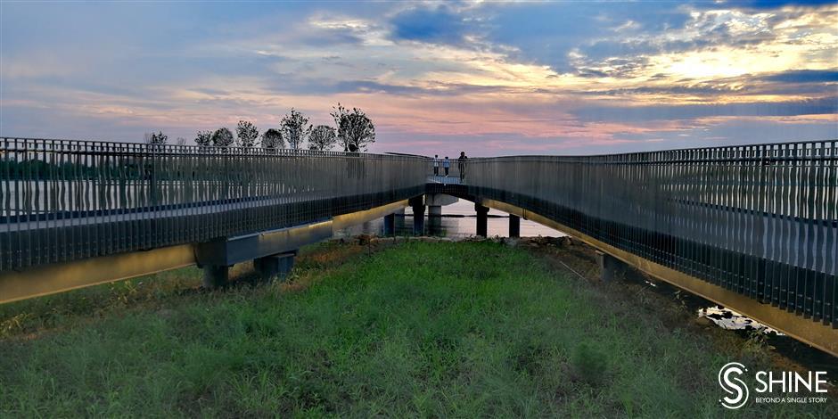 Pedestrian bridge a source of life for nature and people