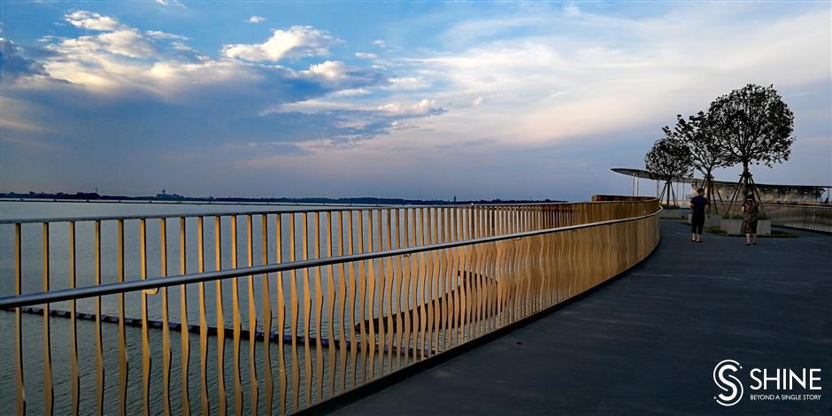 Pedestrian bridge a source of life for nature and people