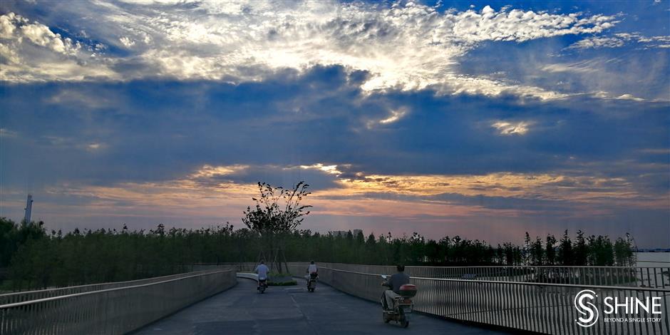 Pedestrian bridge a source of life for nature and people