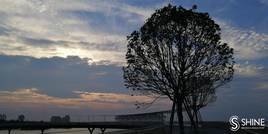 Pedestrian bridge a source of life for nature and people