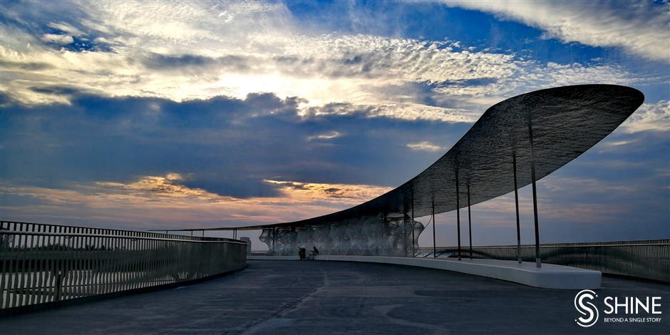 Pedestrian bridge a source of life for nature and people