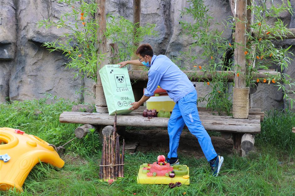 Panda celebrates birthday with fruit and vegetable ice cake