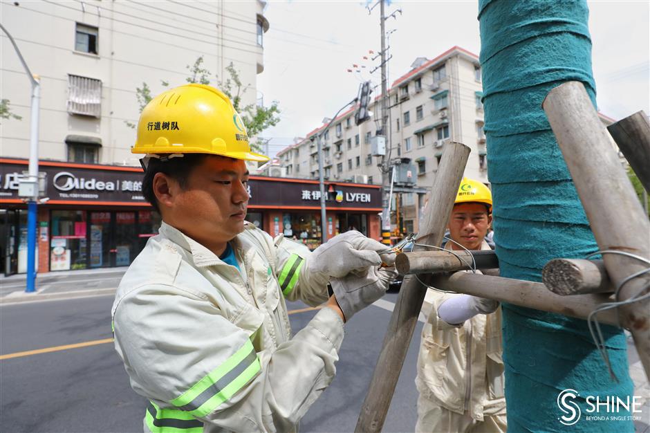 Greenery and sanitation workers reinforce city for In-Fa