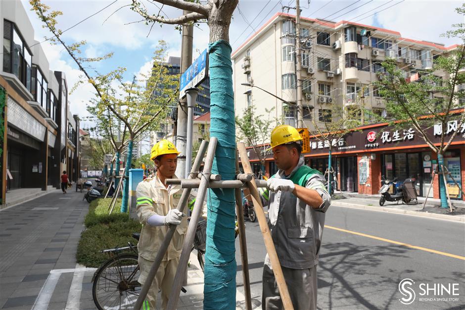 Greenery and sanitation workers reinforce city for In-Fa