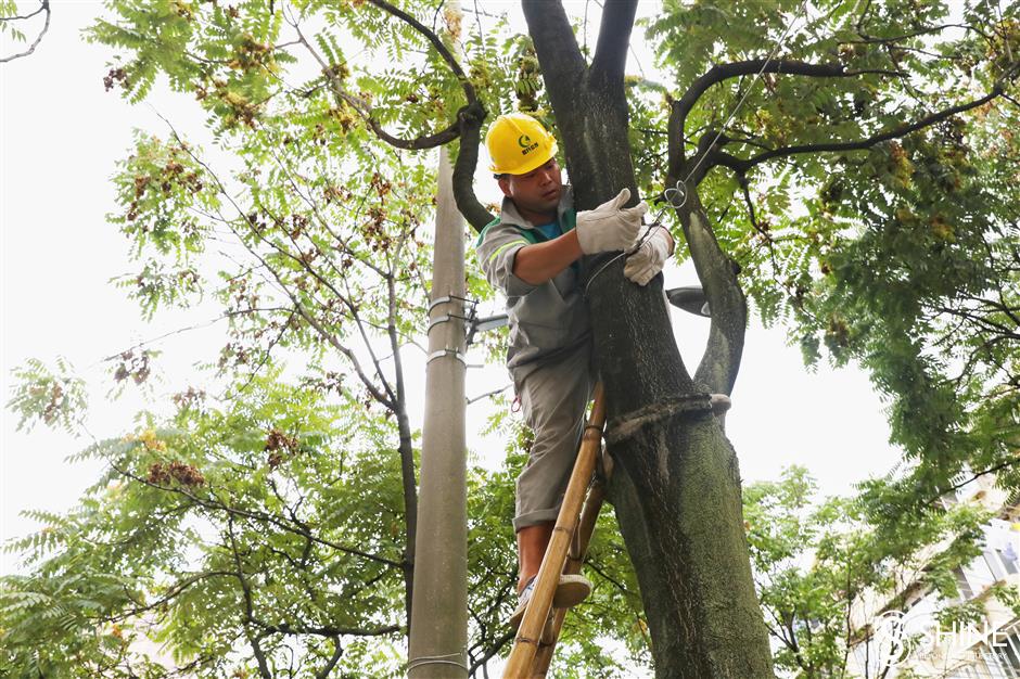 Greenery and sanitation workers reinforce city for In-Fa