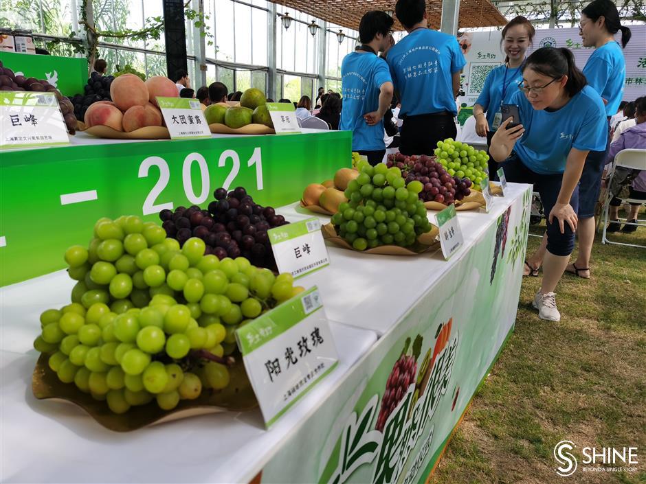 Hit the trails and parks to stock up on city's sweetest fruits