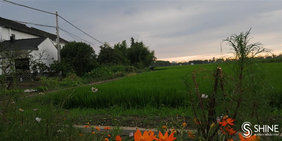 Striking perfect balance between rural and urban