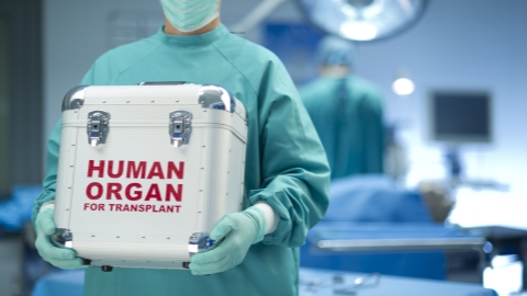 More body, organ donors give gifts of life - Vimarsana News