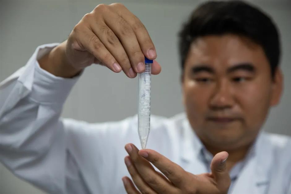 Chinese scientists for the first time synthesize starch from carbon dioxide