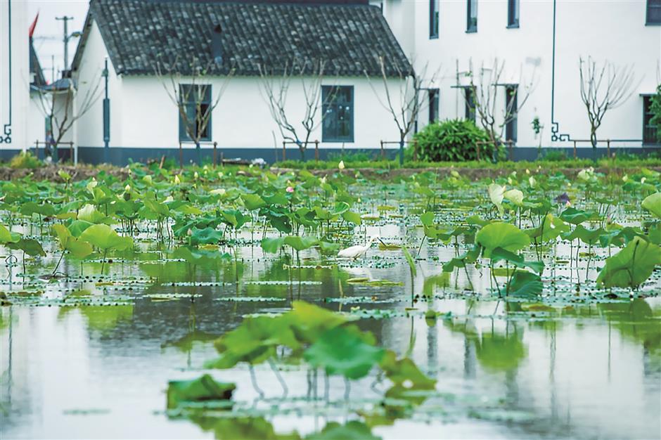 Losing yourself in peaceful and idyllic scenery