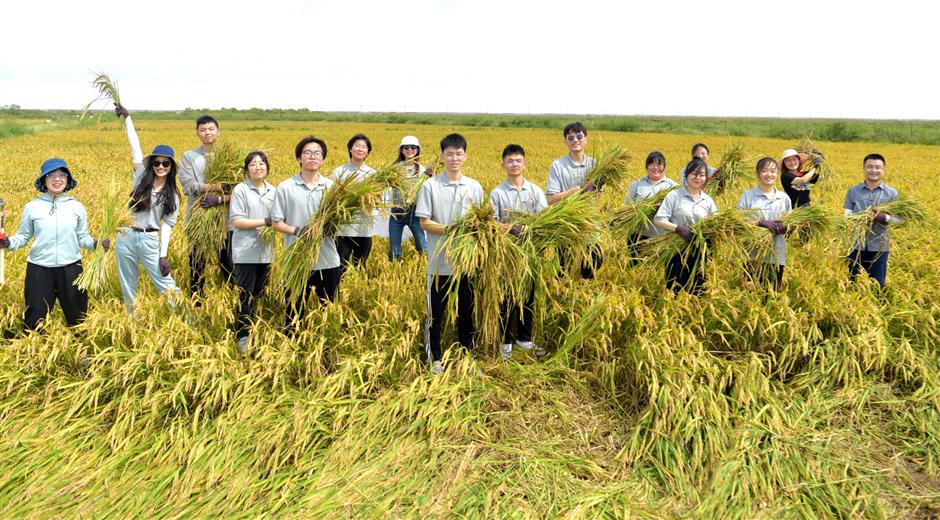 Happiness! City university students celebrate special rice harvest on island