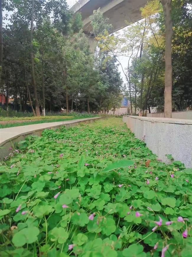 Kunming developing green infrastructure to strengthen water supply