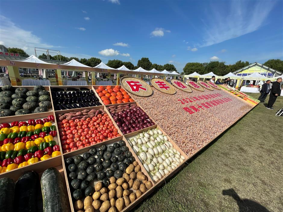 Fruits of Qingpu District's labor on display