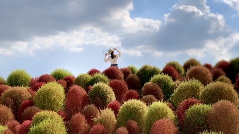 Suburban Shanghai parks offer beautiful autumn scenery - Travel in China