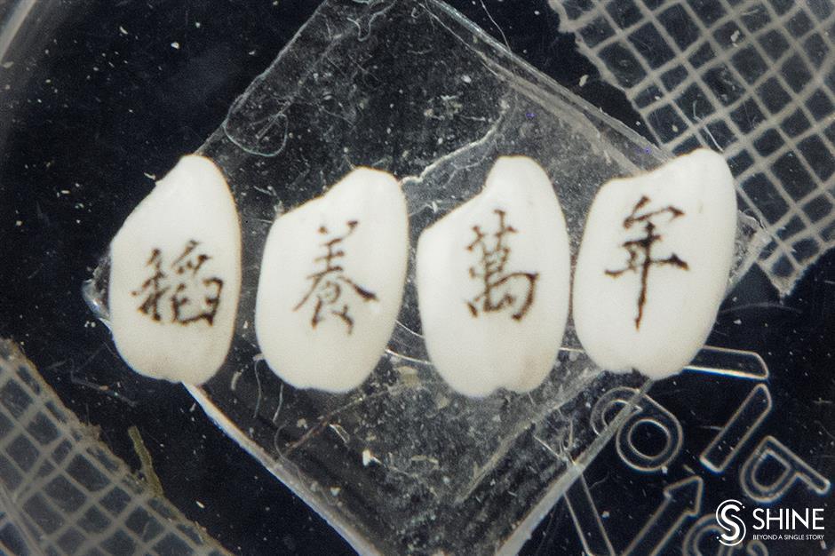 The history of rice cultivation is food for thought