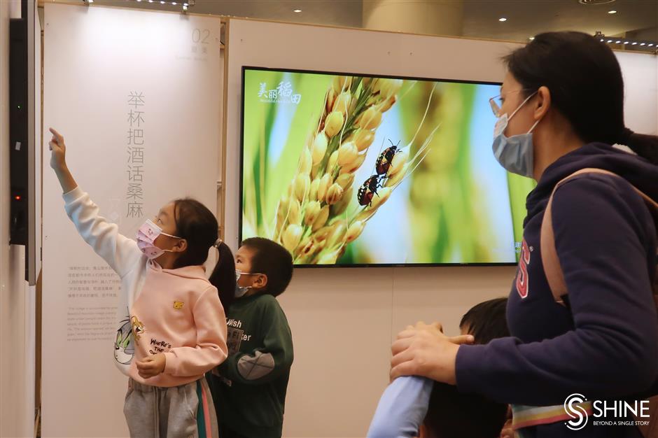The history of rice cultivation is food for thought
