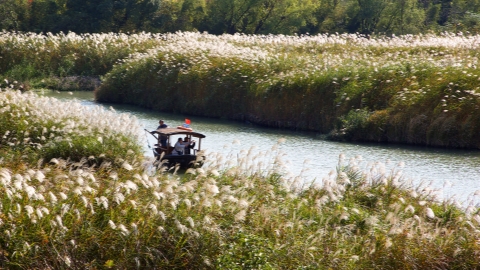 Historic wetland bursts with color and beauty - Travel in China
