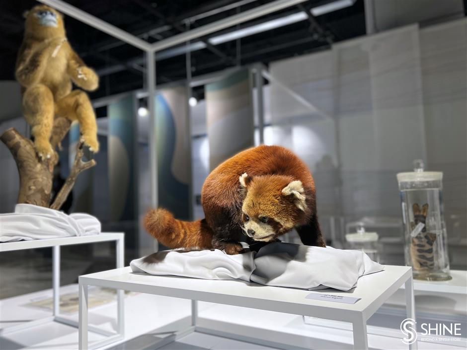The exhibit showcases the diverse ecosystem of the Yangtze River