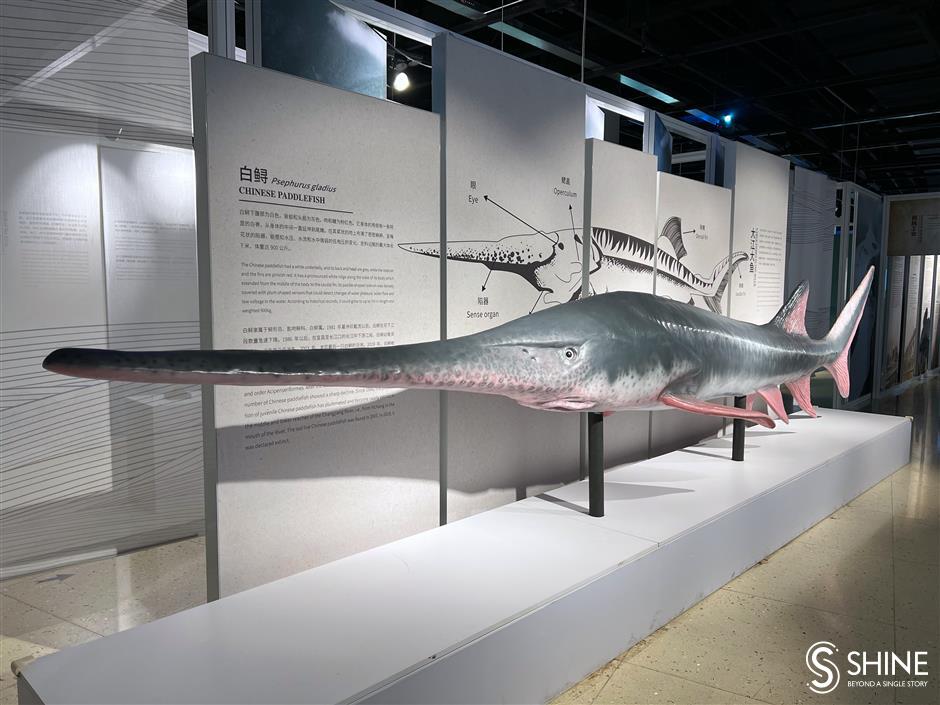 The exhibit showcases the diverse ecosystem of the Yangtze River