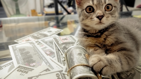 World's 10 richest men double wealth during COVID-19: report - World News