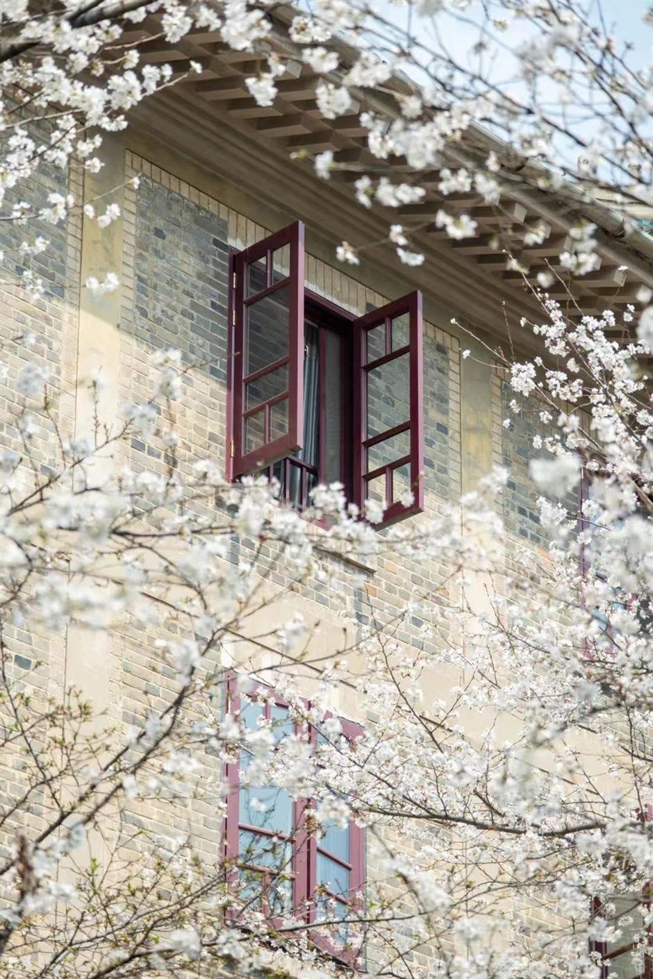 Enjoy spring blossoms without leaving home