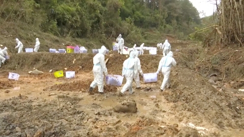 Report on China Eastern flight crash finished in 30 days after tragedy: authorities - Vimarsana News
