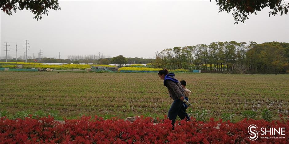 Redefining urban forestry in Shanghai outskirts