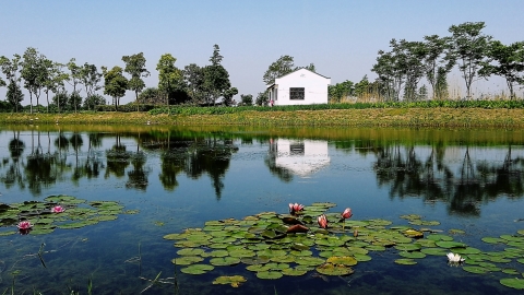 Preserving biodiversity helps fight pandemics - Vimarsana News