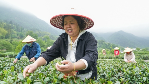 China's mountainous areas explore new ways to generate wealth through green assets - Vimarsana News