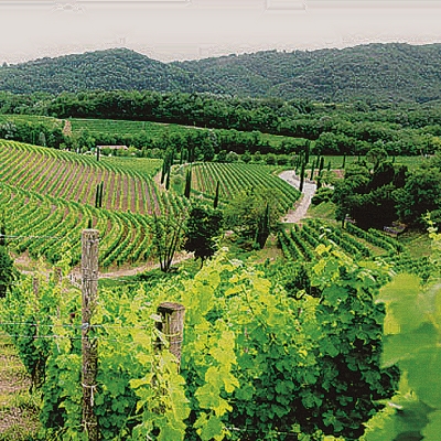 Classy whites for surviving the scorching summer heat