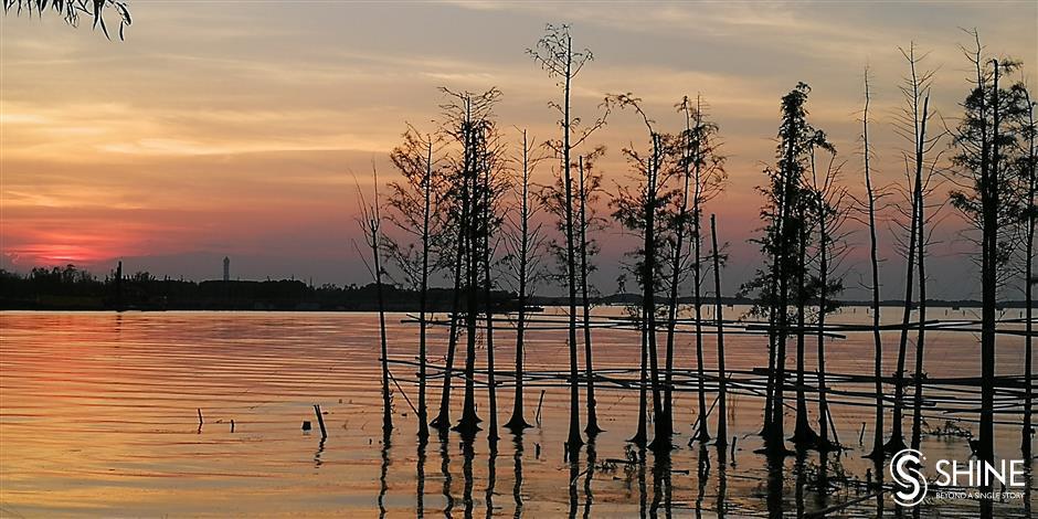 Dark-sky zones: How tender is the night?