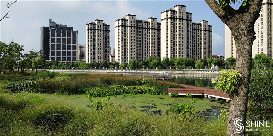 Neighborhood parks: Building Shanghai into 'a garden city'