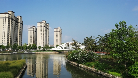 Neighborhood parks: Building Shanghai into 'a garden city' - Vimarsana News