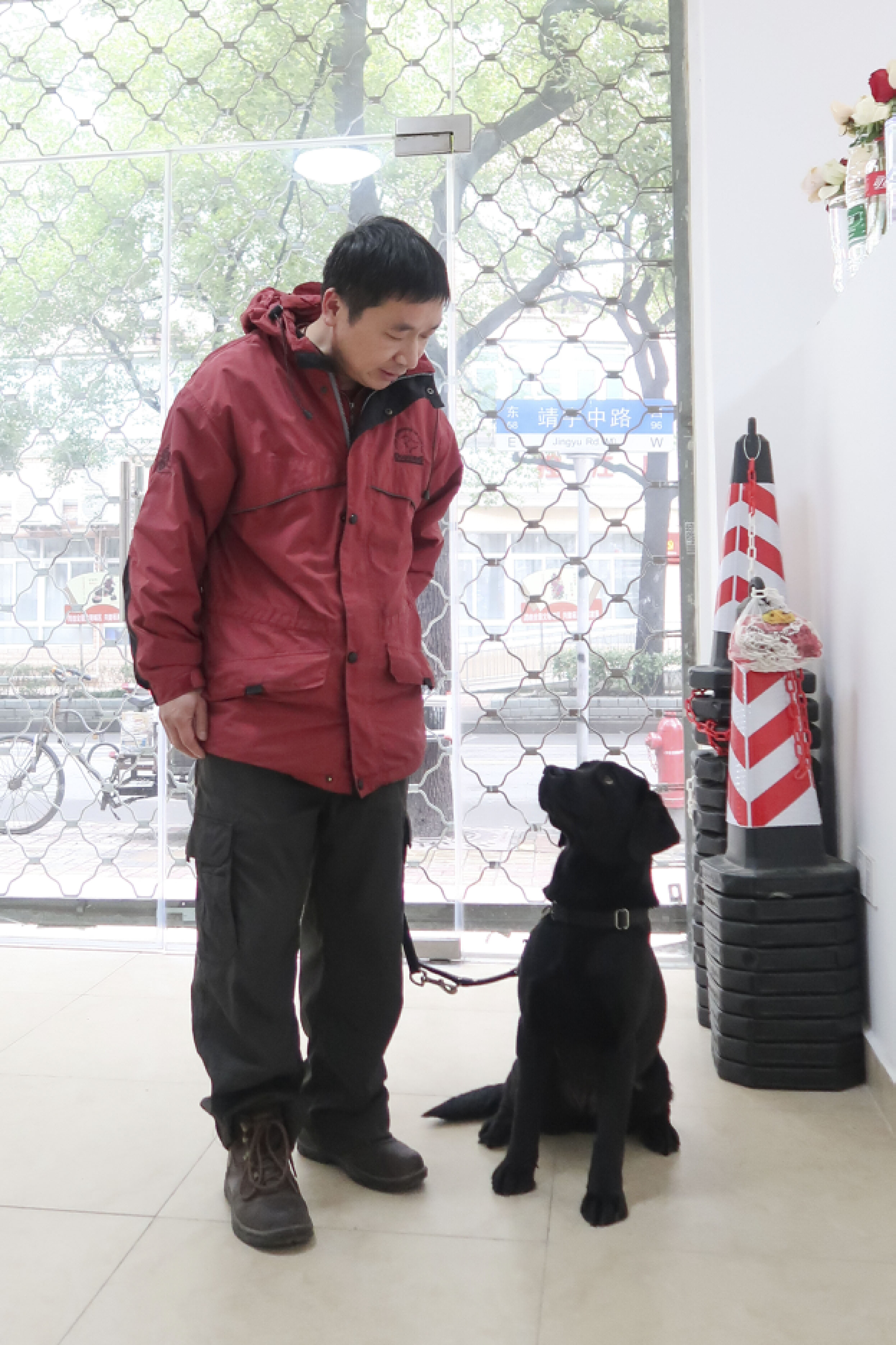 A skeptical society remains blind to the benefits of guide dogs SHINE