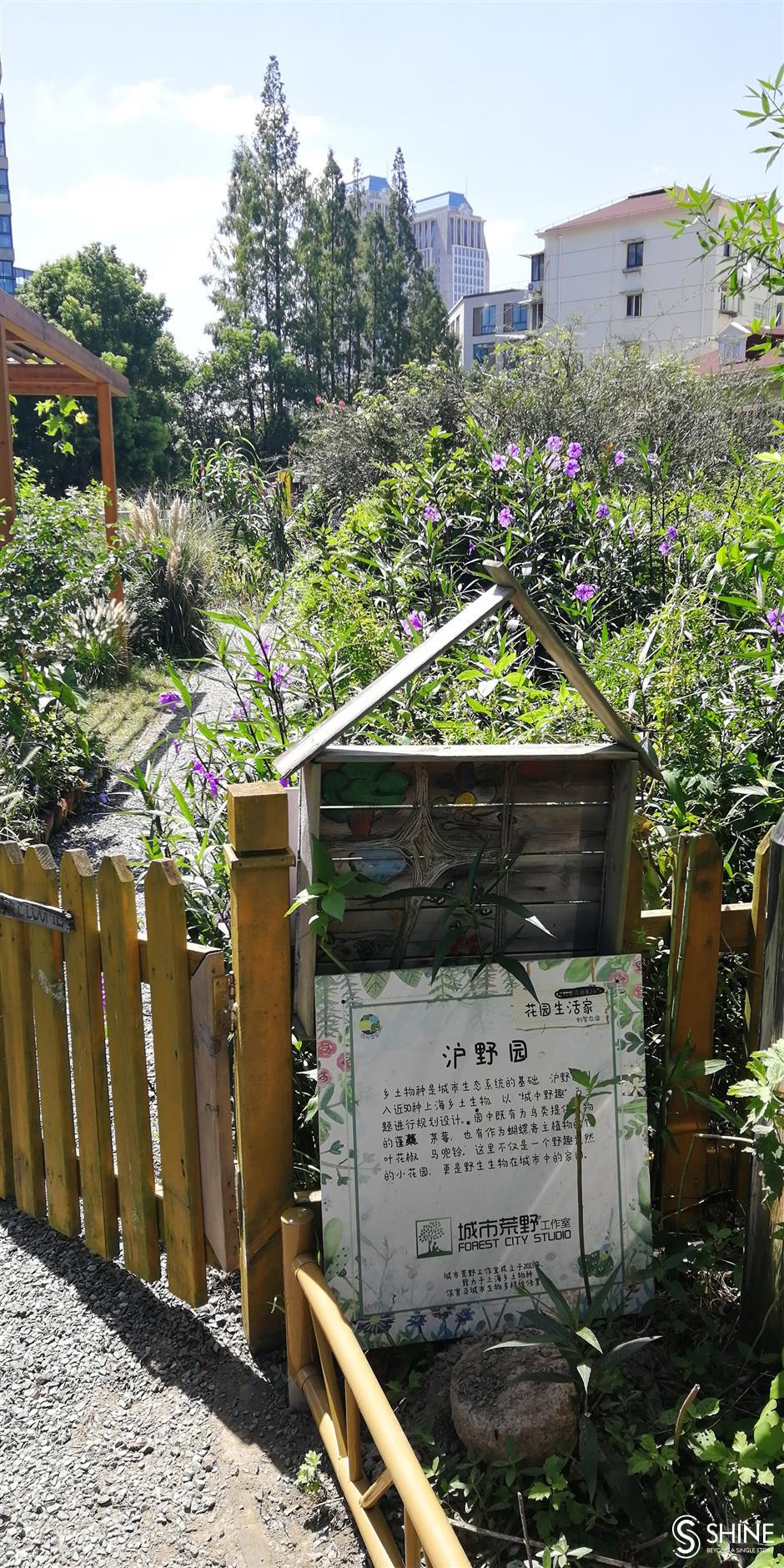 Shanghai habitat gardens: pushing urban renewal with the return of wildlife