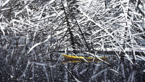 Contemporary artists tell 'Five Stories About Us' - Vimarsana News