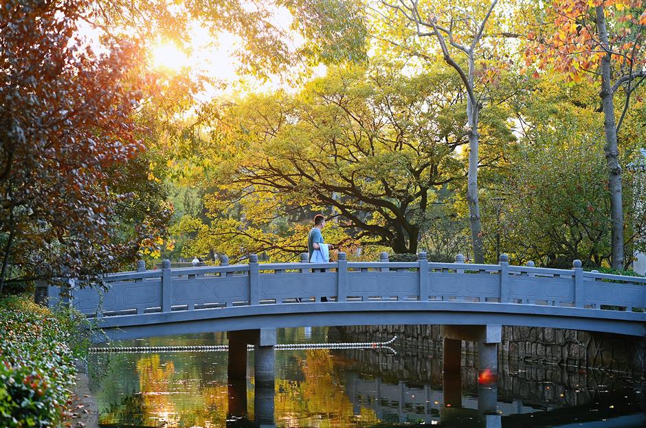 Various new activities heat up in Jing'an as the weather cools