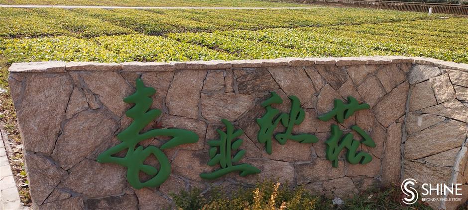 A sustainable future boosted by rural biodiversity in Shanghai villages