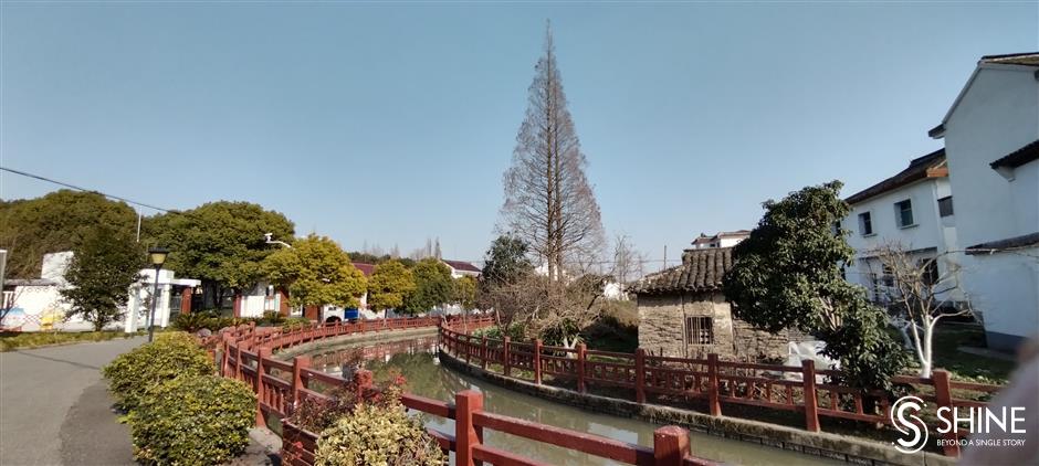 A sustainable future boosted by rural biodiversity in Shanghai villages