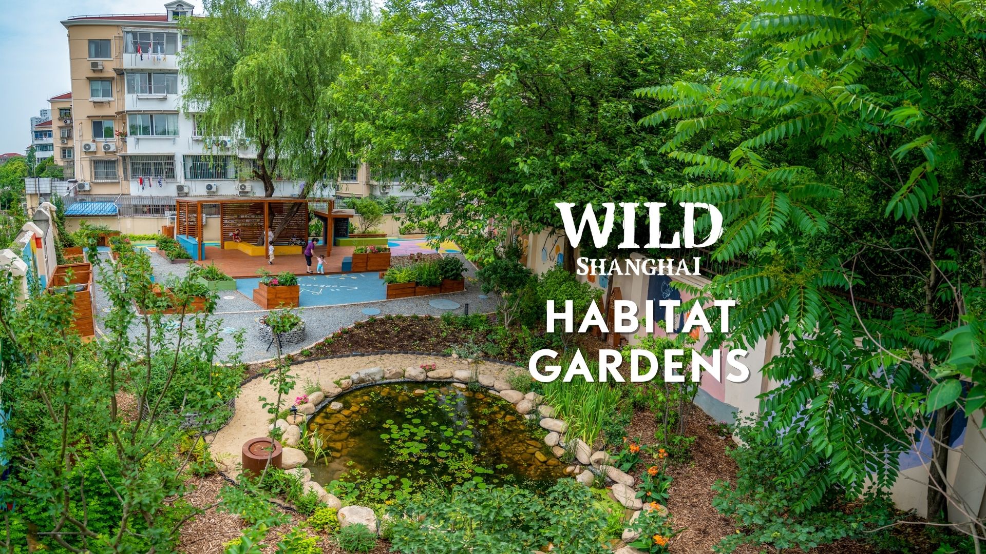 Wild Shanghai EP6 Habitat Gardens — shelter for wildlife, garden for