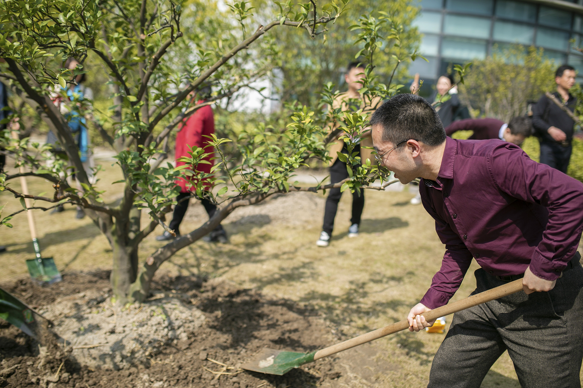 University looks forward to 'sweet and juicy' oranges on campus - SHINE University looks forward to 'sweet and juicy' oranges on campus - SHINE