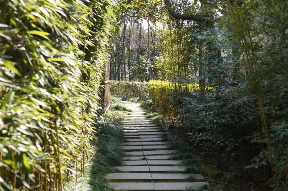 上海的这几个乡村,满是书香!你感受过吗?