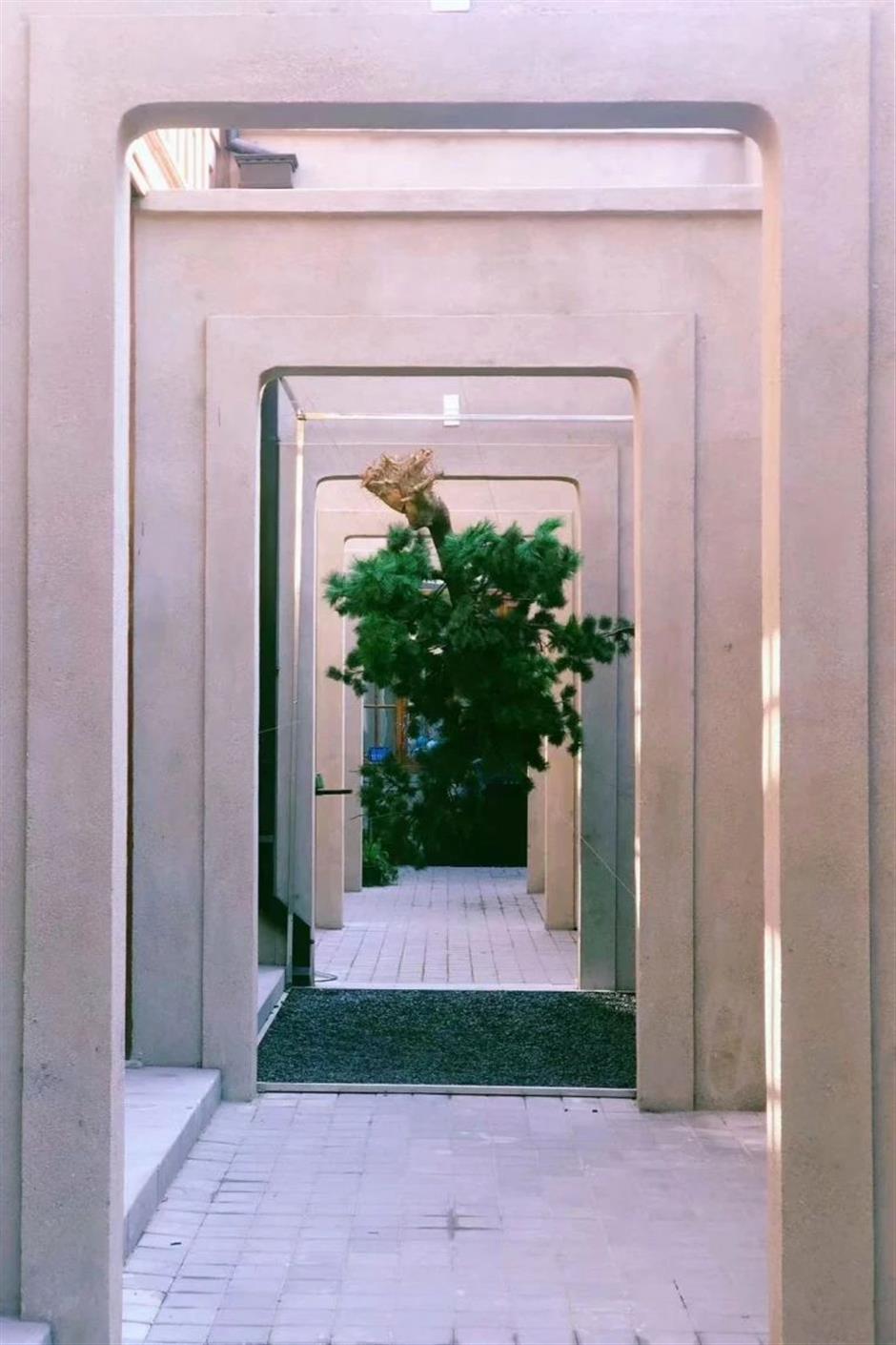 上海的这几个乡村,满是书香!你感受过吗?