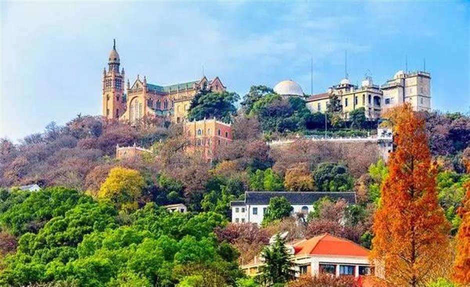 上海的这几个乡村,满是书香!你感受过吗?