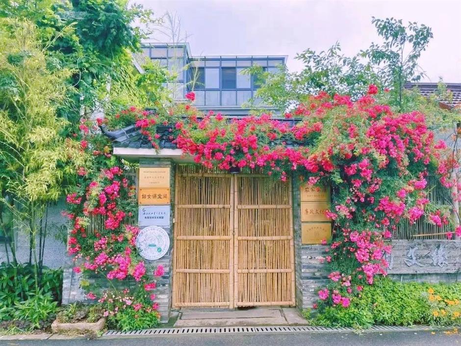 上海的这几个乡村,满是书香!你感受过吗?