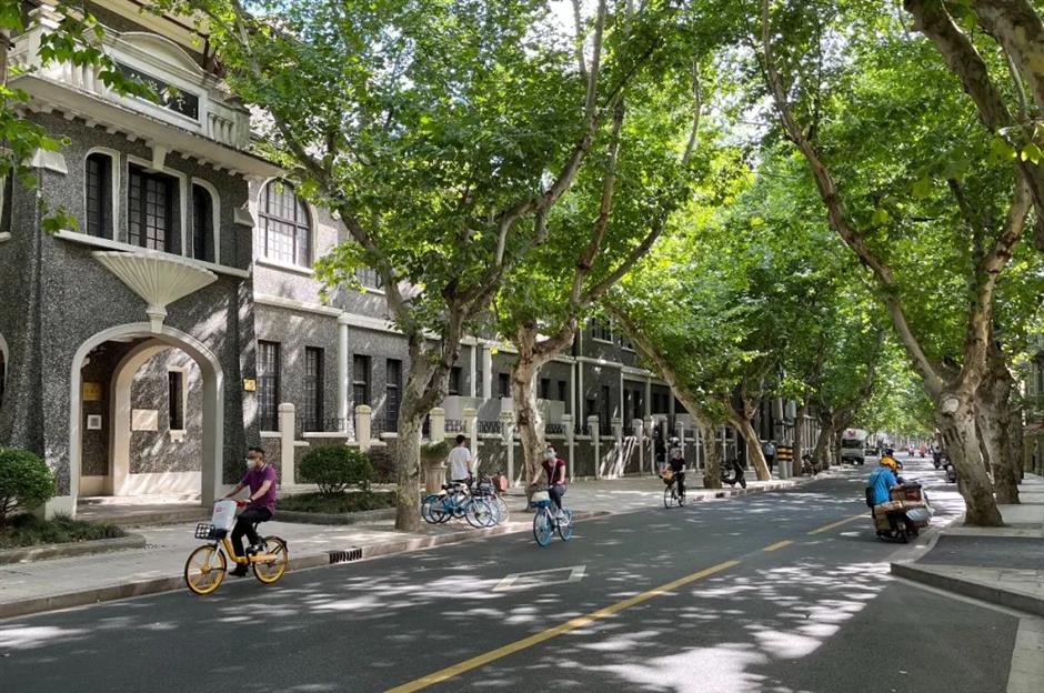 建筑可阅读:"永不拓宽"的南昌路,新老交错间涌现别样"海派烟火"