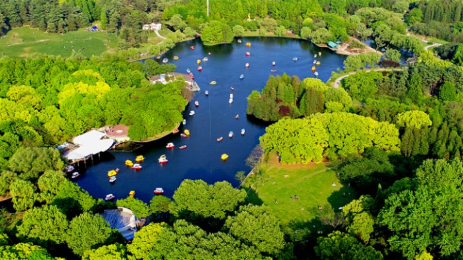 上海的这几个乡村,满是书香!你感受过吗?