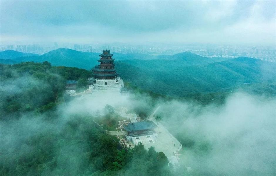 上海的这几个乡村,满是书香!你感受过吗?